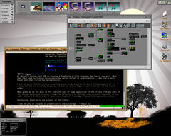 Captura de MaXX Desktop