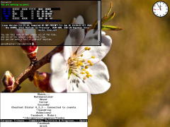 Captura de W9wm