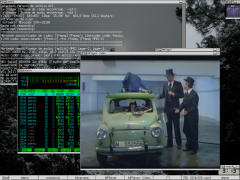 Captura de Alloywm