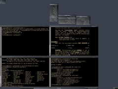 Captura de Blackbox