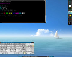 Captura de Blackbox