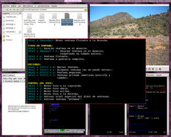 Captura de Bspwm