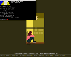 Captura de EggWM