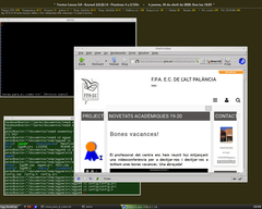 Captura de EggWM
