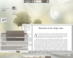 Captura de Enlightenment