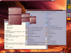 Captura de Fluxbox