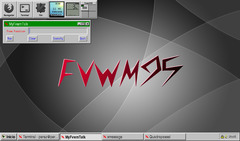 Captura de FVWM95