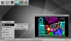 Captura de FVWM95