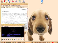 Captura de JWM