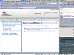 Captura de Larswm