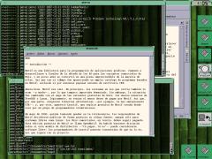Captura de OVWM