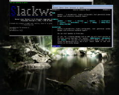 Captura de Openbox