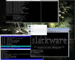Captura de Openbox