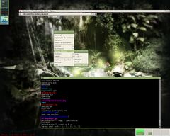Captura de Openbox