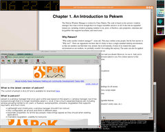 Captura de Pekwm