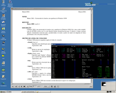 Captura de Blanes 2000