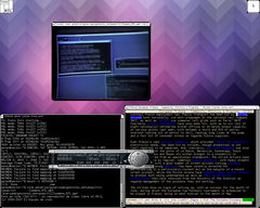 Captura del Siemens RTL Tiled Window Manager