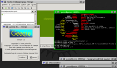 Captura de Scwm