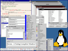 Captura de Scwm
