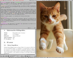 Captura de Subtle