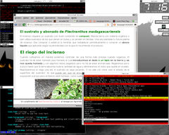 Captura de Tekwm