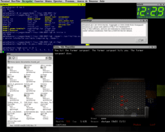 Captura de Windowlab