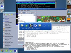 Captura de Window Maker