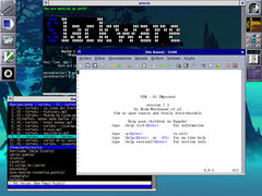 Captura de Window Maker